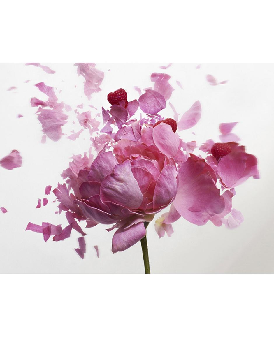 Eau de toilette Nina Ricci para mujer
