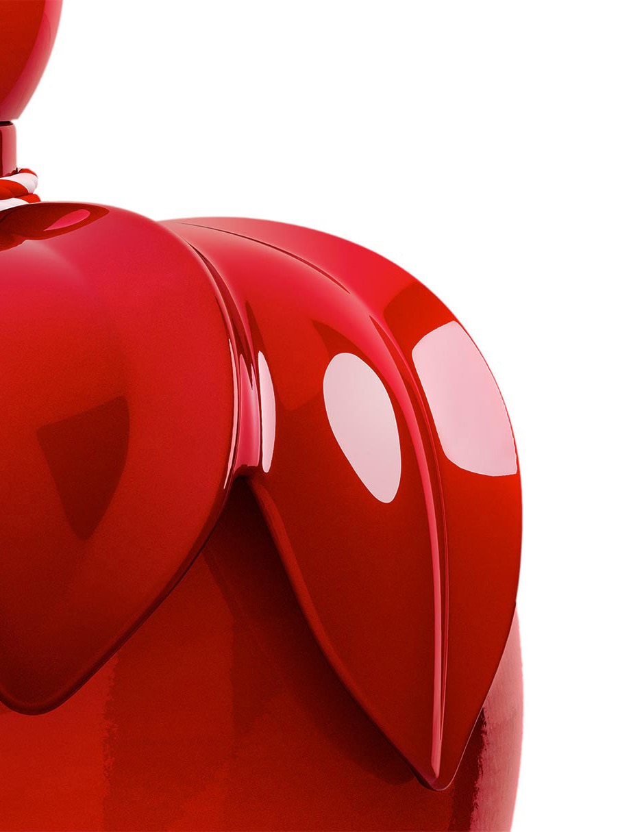Eau de toilette Rouge para mujer 23