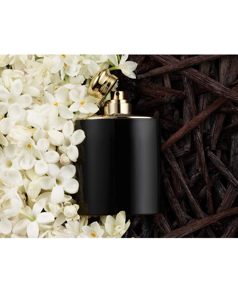 Eau de parfum Polo Ralph Lauren Woman para mujer