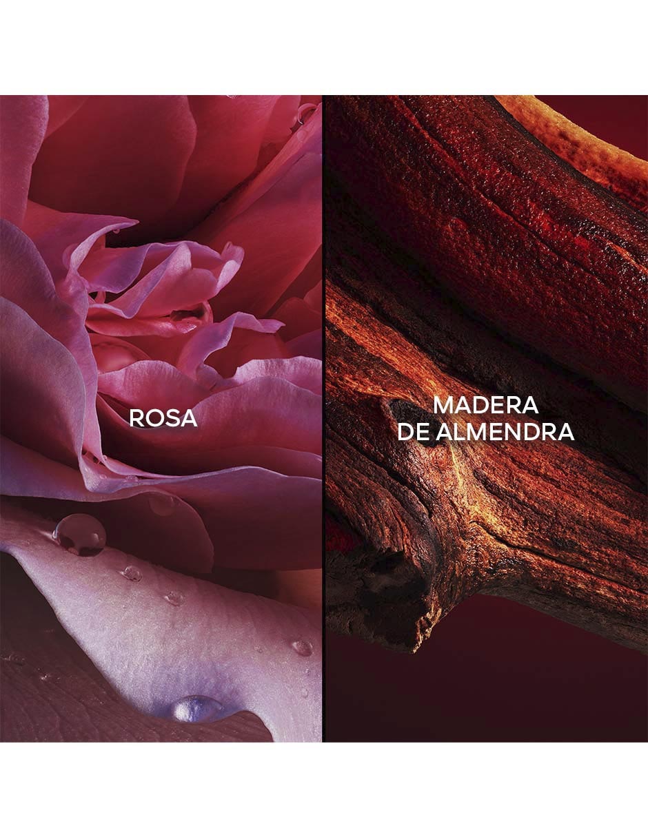 Eau de parfum Legendaires para mujer 8