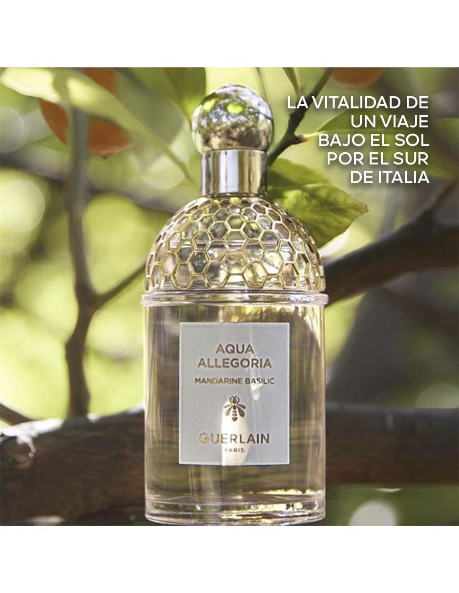 Eau de toilette Aqua Allegoria Mandarine Basilic para mujer Eau de toilette Aqua Allegoria Mandarine Basilic para mujer