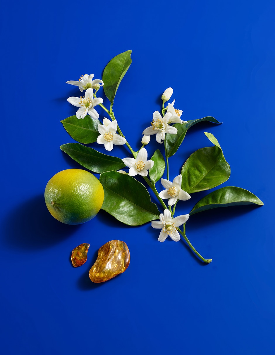 Eau de toilette Sisterland Blue Neroli para mujer 19