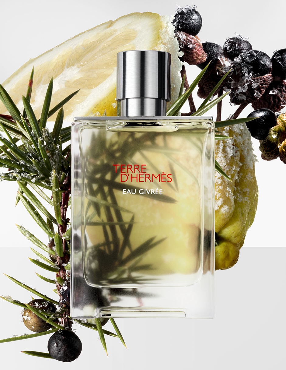 Eau de parfum Hermès Terre d'Hermès Eau Givrée para hombre