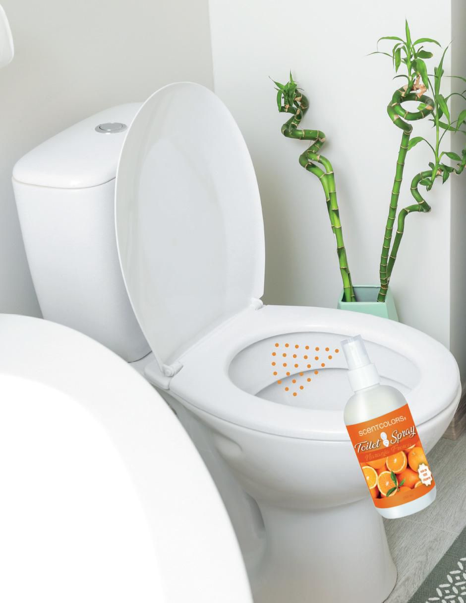 Aromatizante eliminador de olores de aroma frutal 2