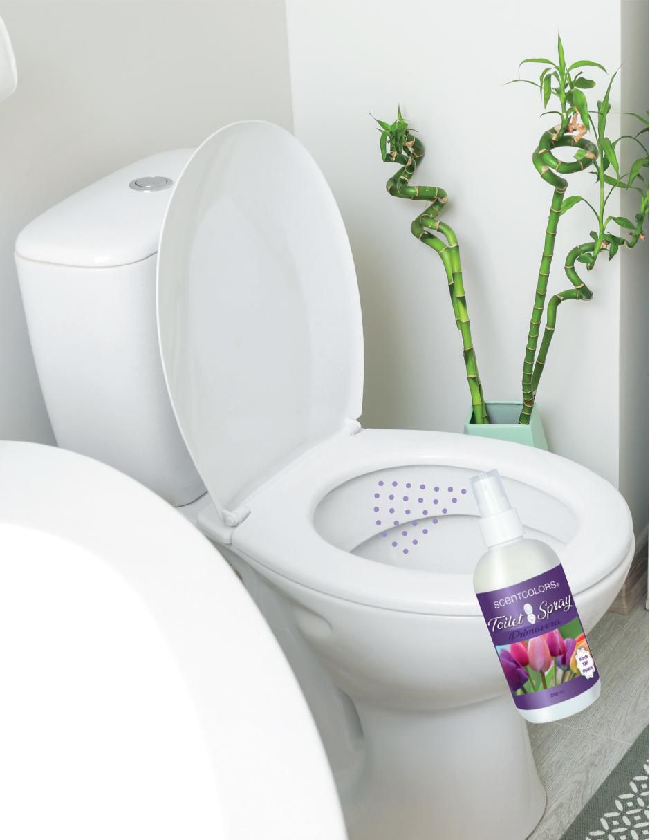 Aromatizante eliminador de olores de aroma floral 2
