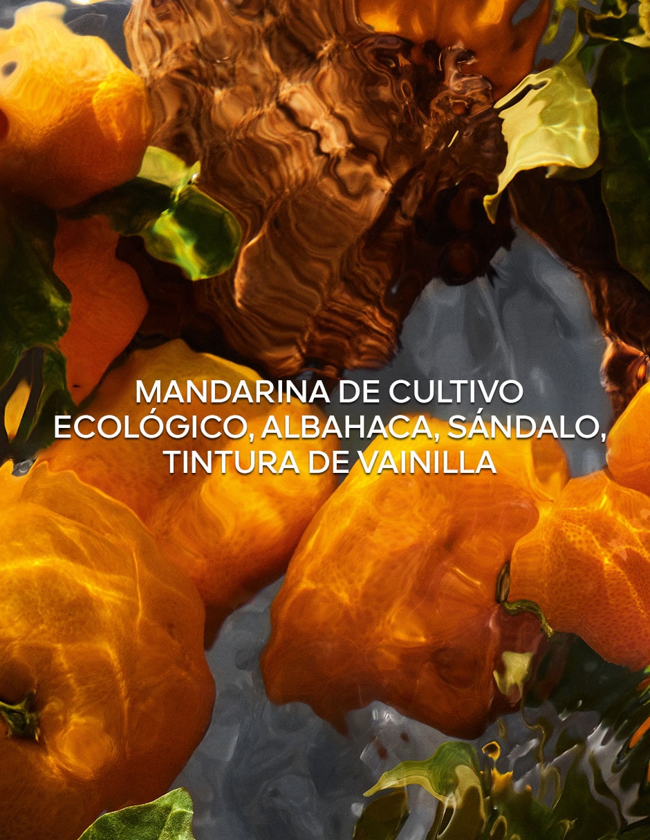 Eau de parfum Aqua Allegoria Forte Mandarine Basilic unisex 3