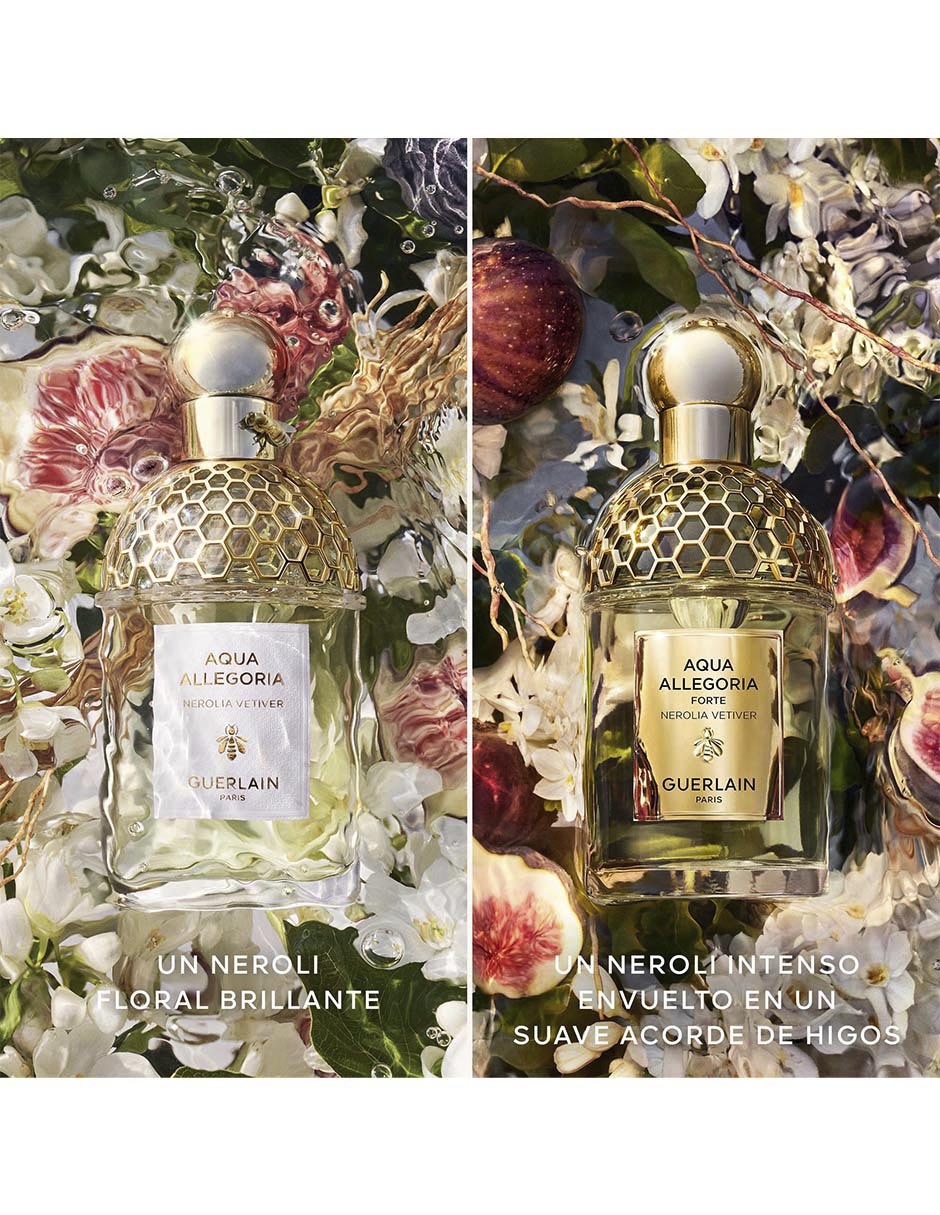 Eau de parfum Aqua allegoria unisex 14