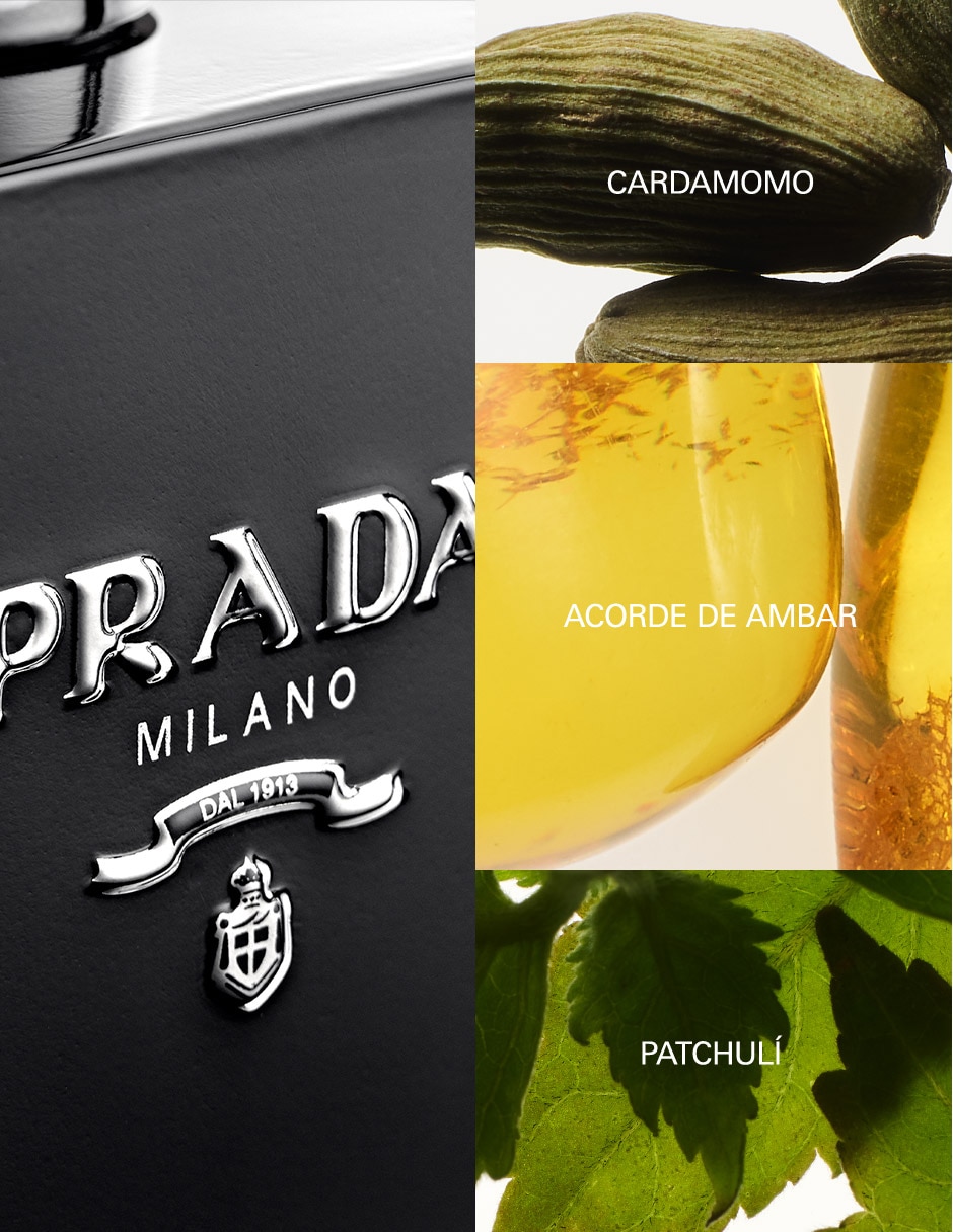 Eau de parfum L'homme para hombre 11