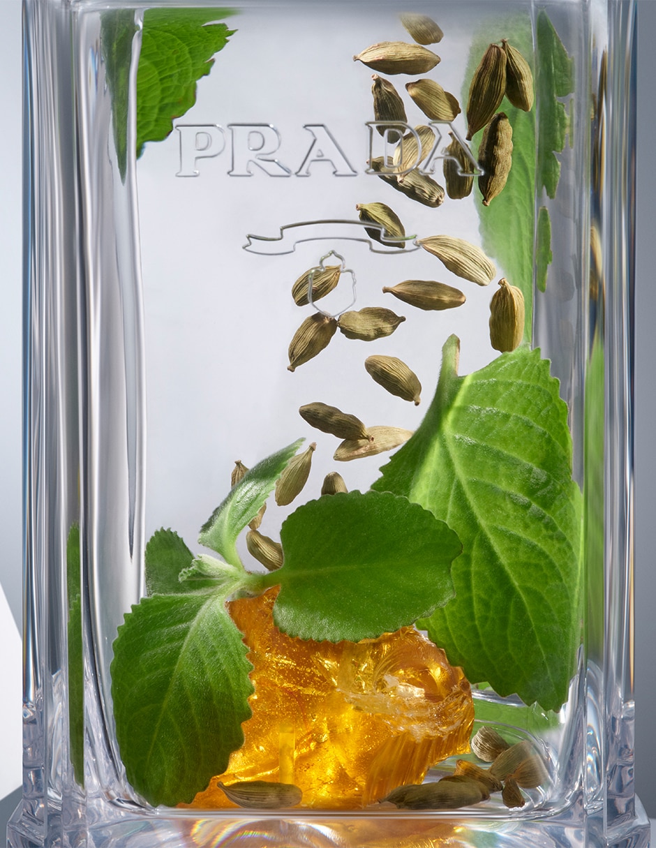 Eau de parfum L'homme para hombre 12