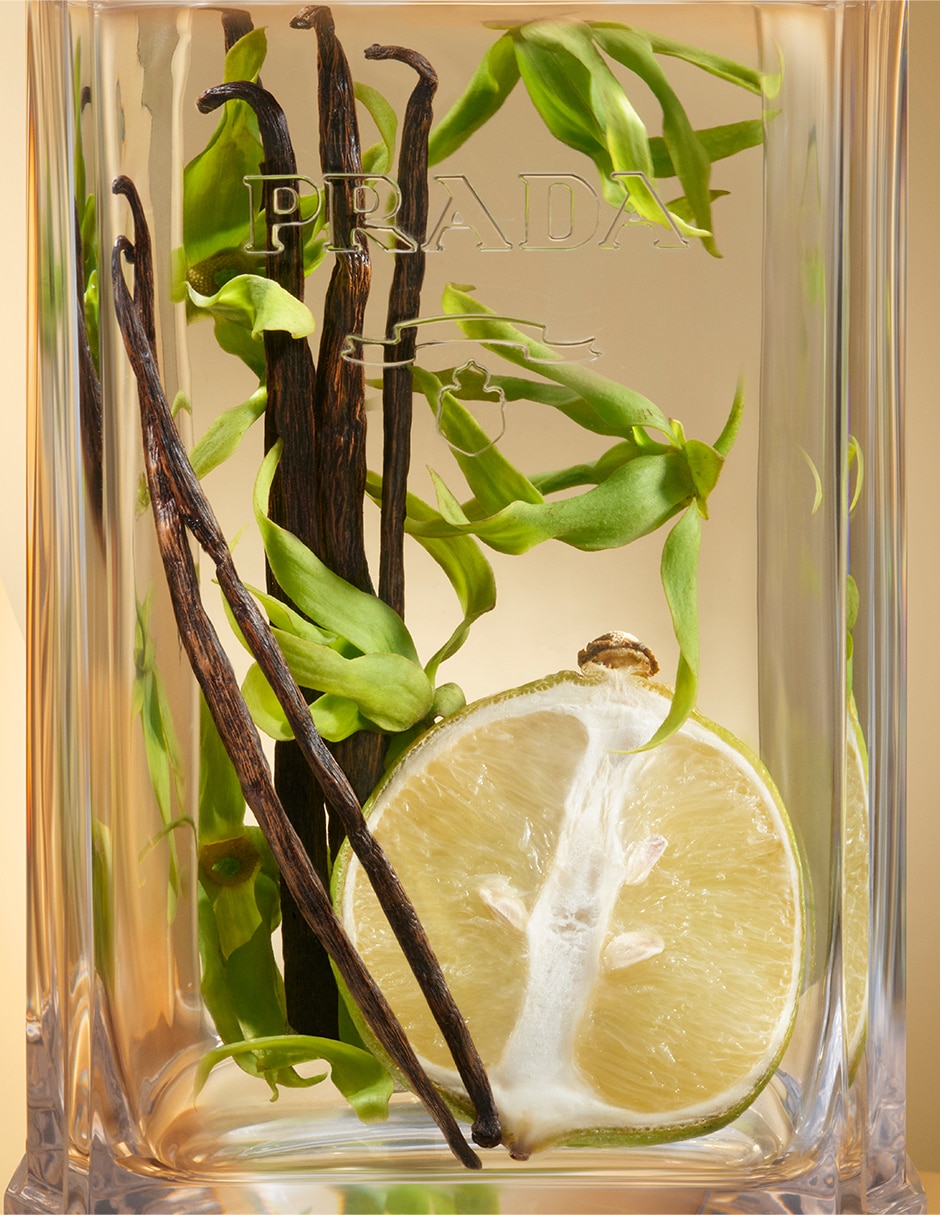 Eau de parfum Prada La femme para mujer