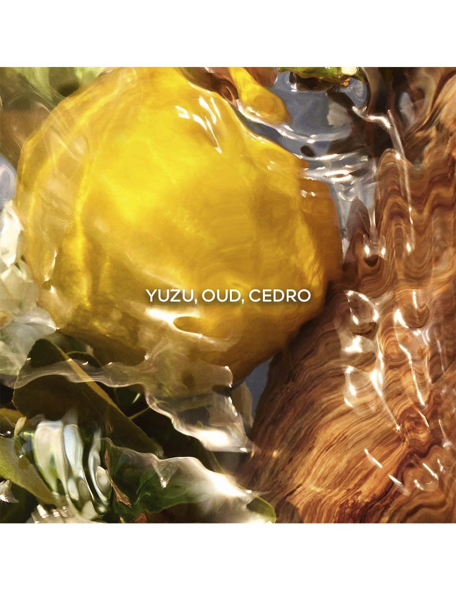 Eau de parfum Aqua Allegoria Oud Yuzu unisex 11