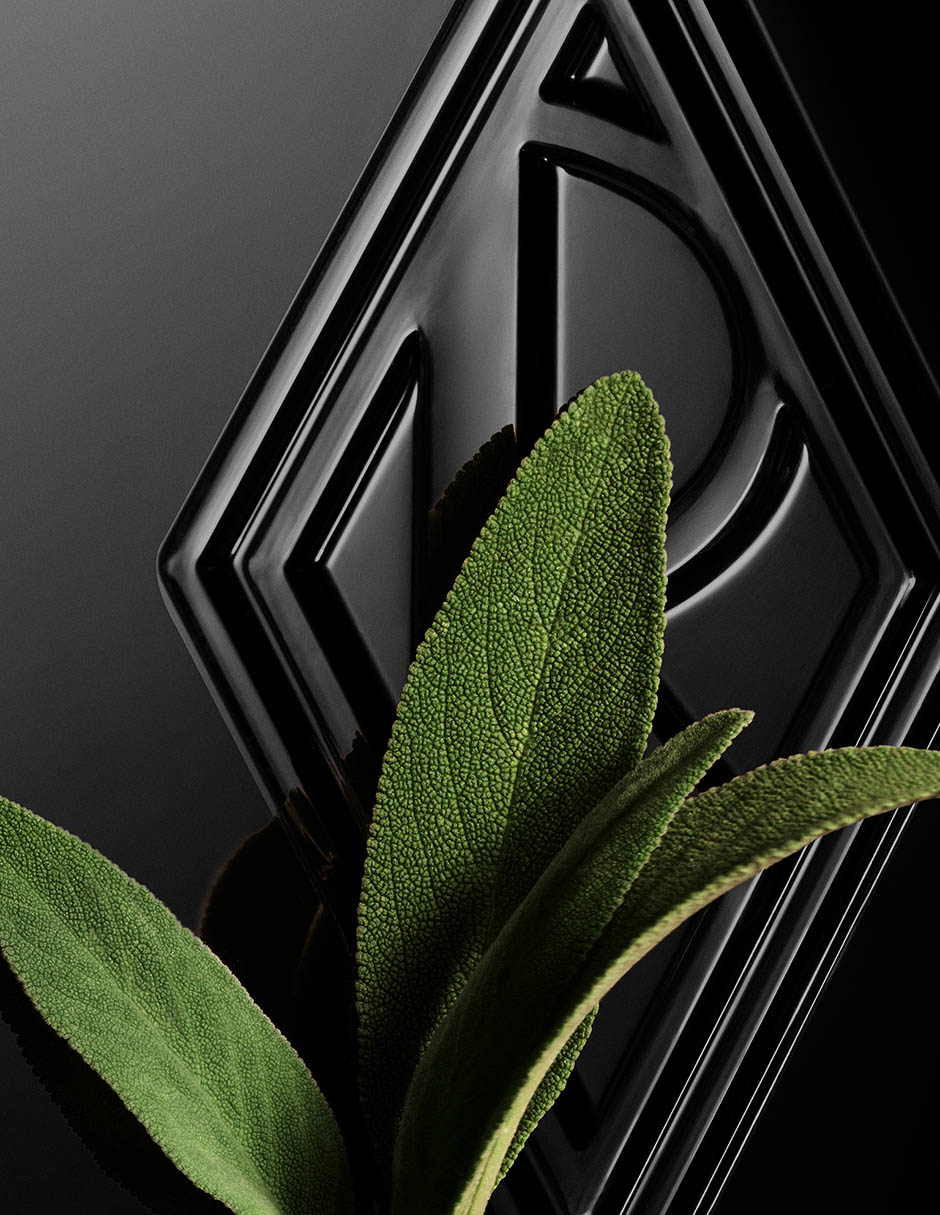 Perfume Ralph's Club Elixir para hombre 8