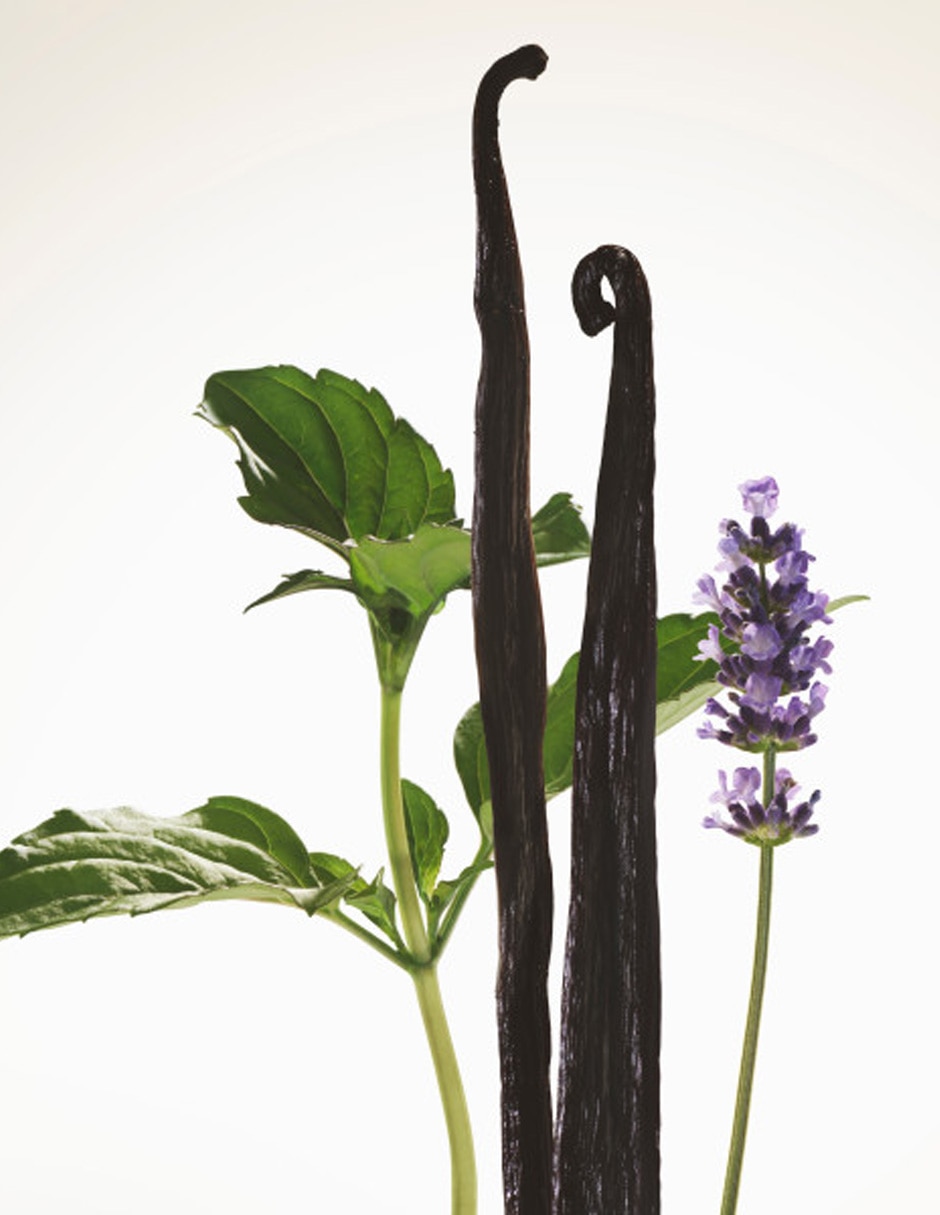 Eau de parfum Goddess para mujer 9