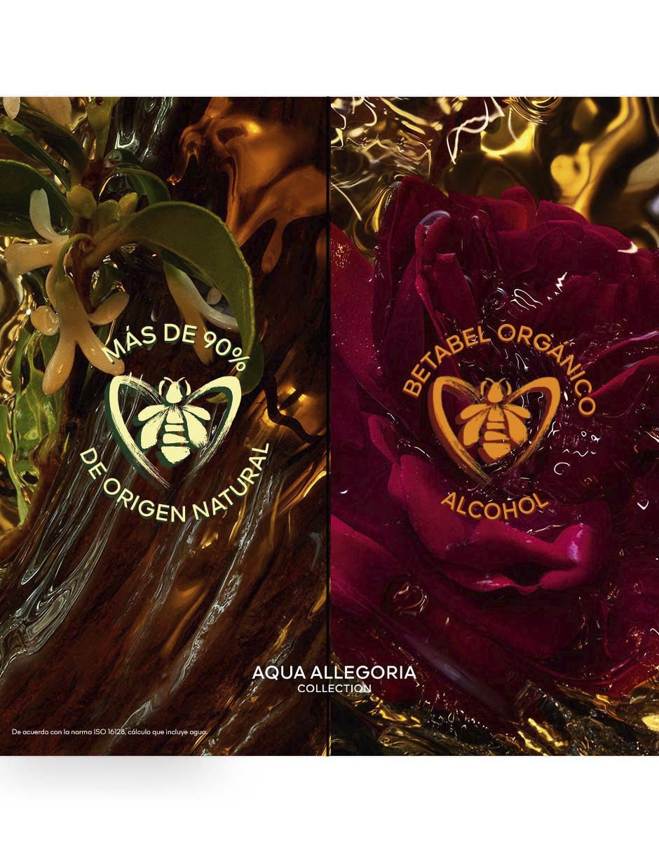 Eau de parfum Absolus Allegoria Epices Exquises unisex Eau de parfum Absolus Allegoria Epices Exquises unisex