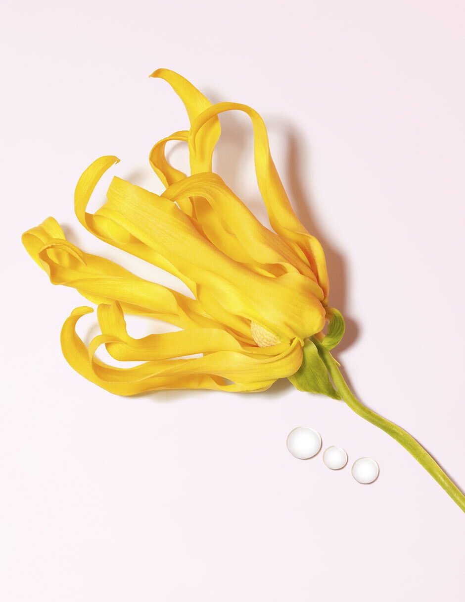 Eau de parfum My Way Ylang para mujer 14