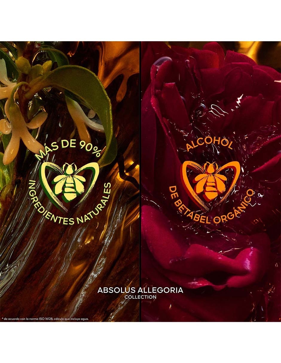 Eau de parfum Absolus Allegoria Ambre Samar unisex
