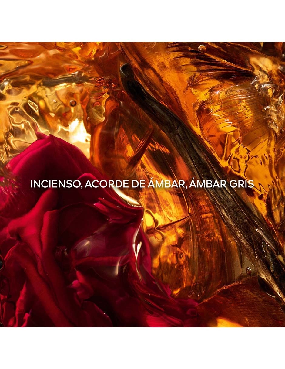 Eau de parfum Absolus Allegoria Ambre Samar unisex