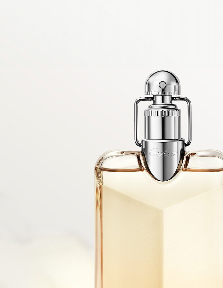 Eau de parfum Declaration para hombre 10