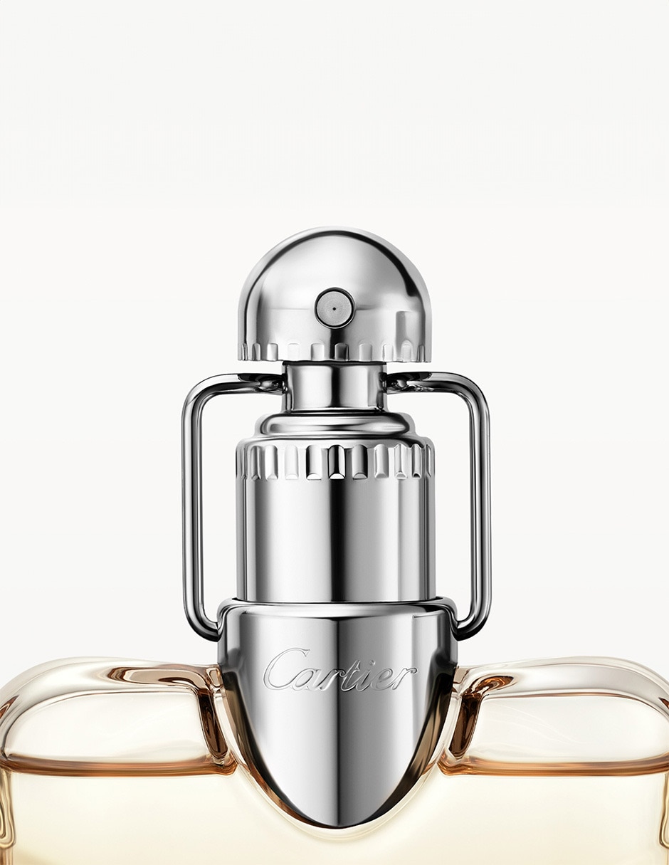 Eau de parfum Declaration para hombre