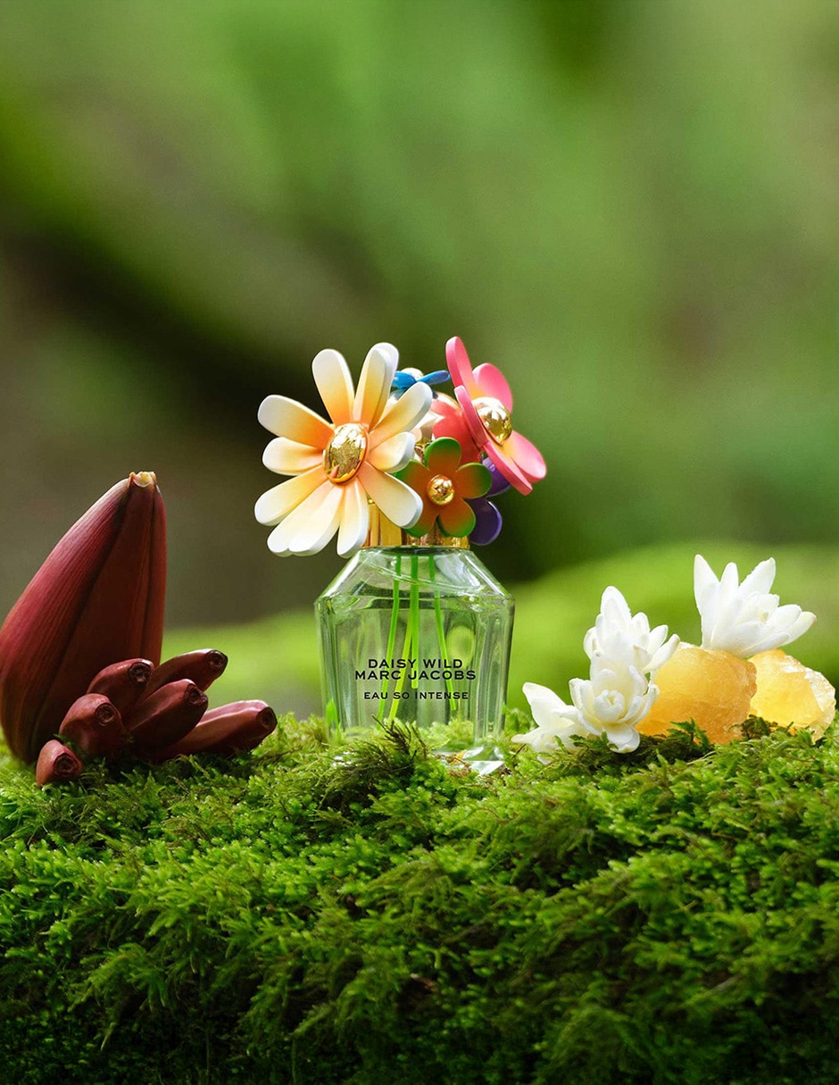 Eau de parfum marc jacobs wild "para" mujer