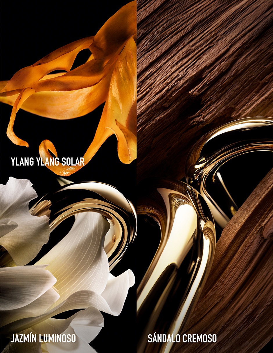 Perfume Million Gold For Her para mujer
