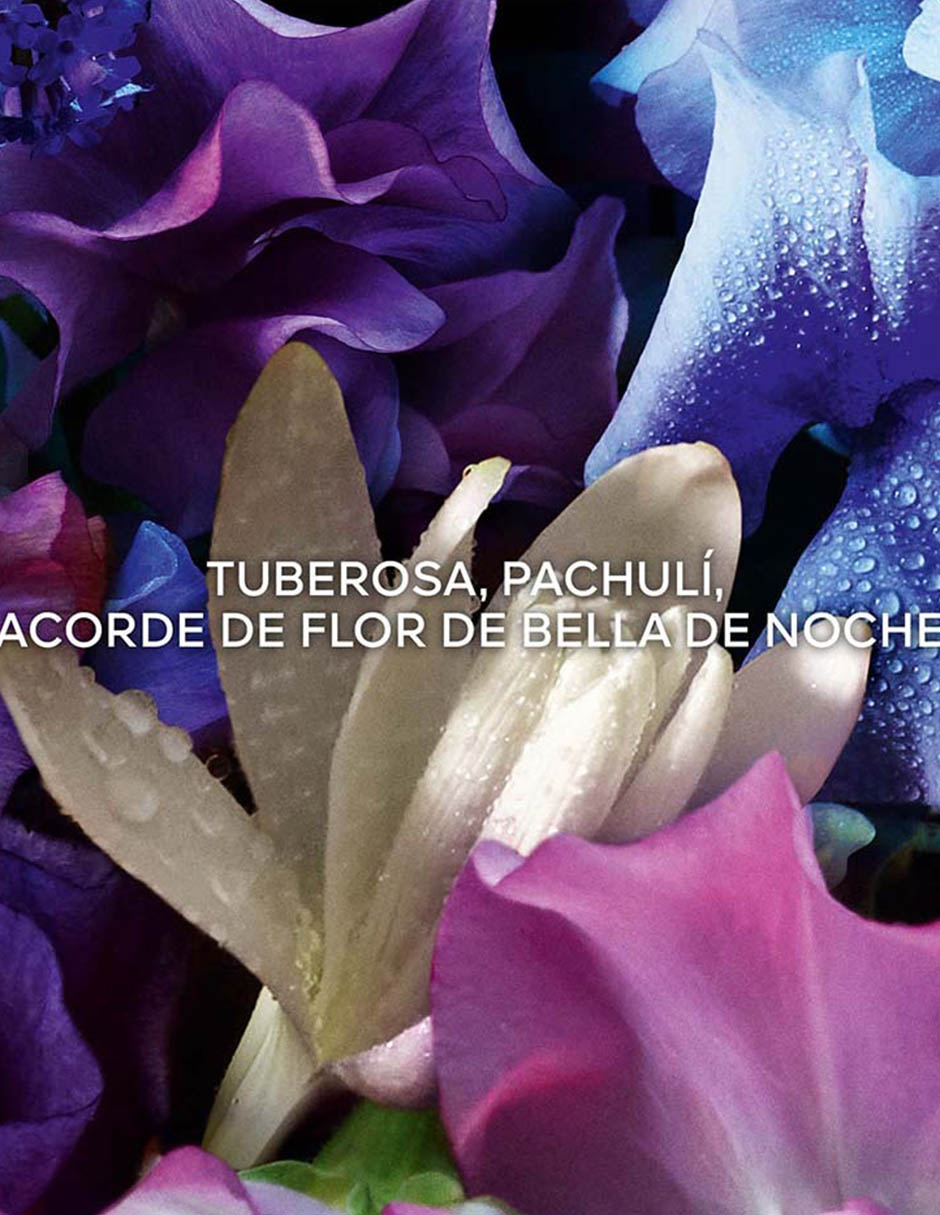 Eau de parfum Absolu Allegoria unisex 9