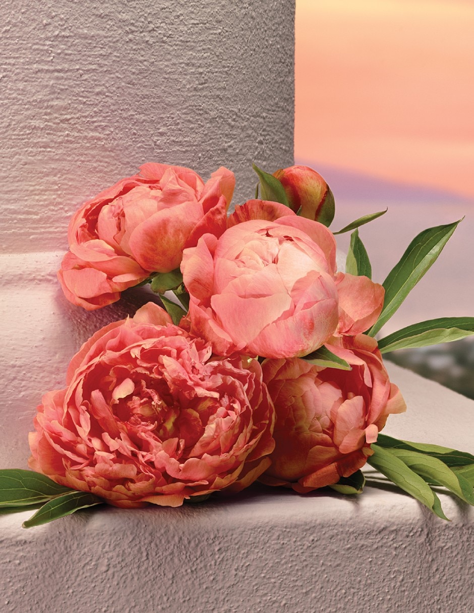Eau de parfum Dolce& Devotion para mujer 13