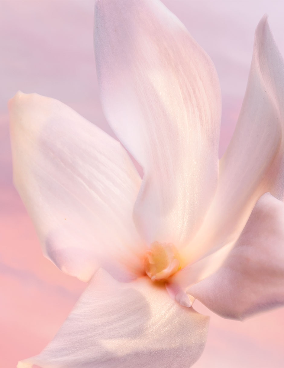Eau de parfum Lancôme La Vie Est Belle para mujer 2