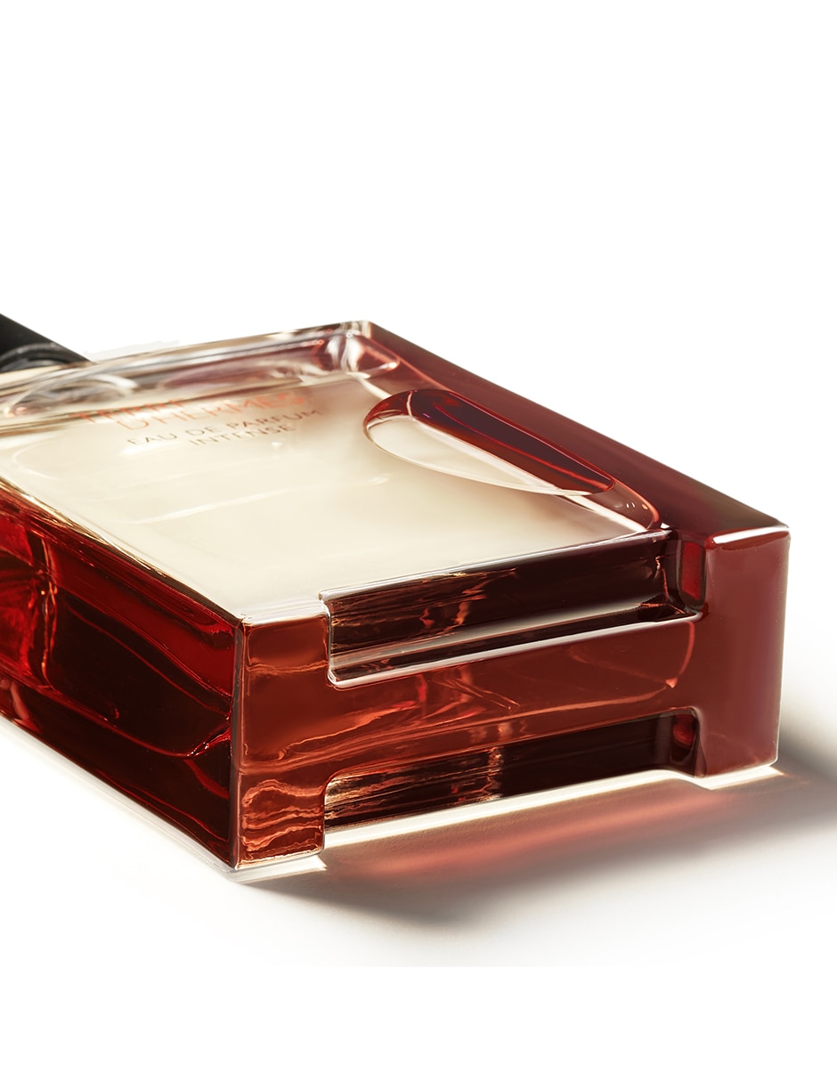 Eau de parfum Terre Intense para hombre