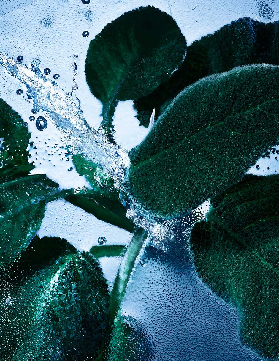 Eau de toilette Iced Cologne para hombre