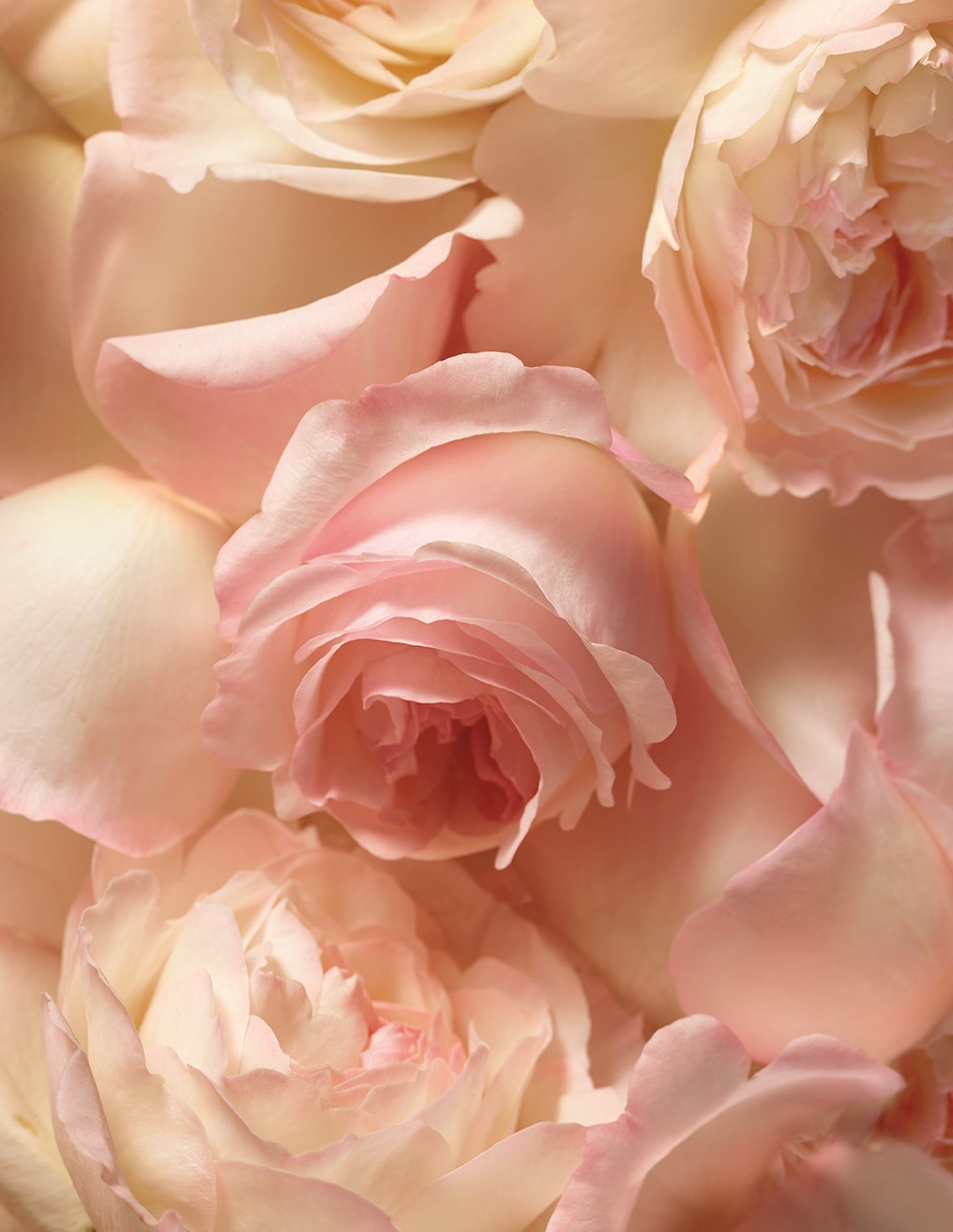 Kit Eau de parfum Romance para mujer 4