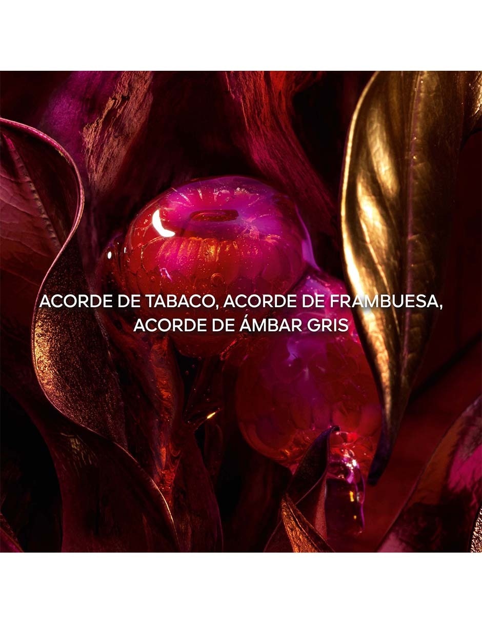 Eau de parfum Absolus Allegoria unisex