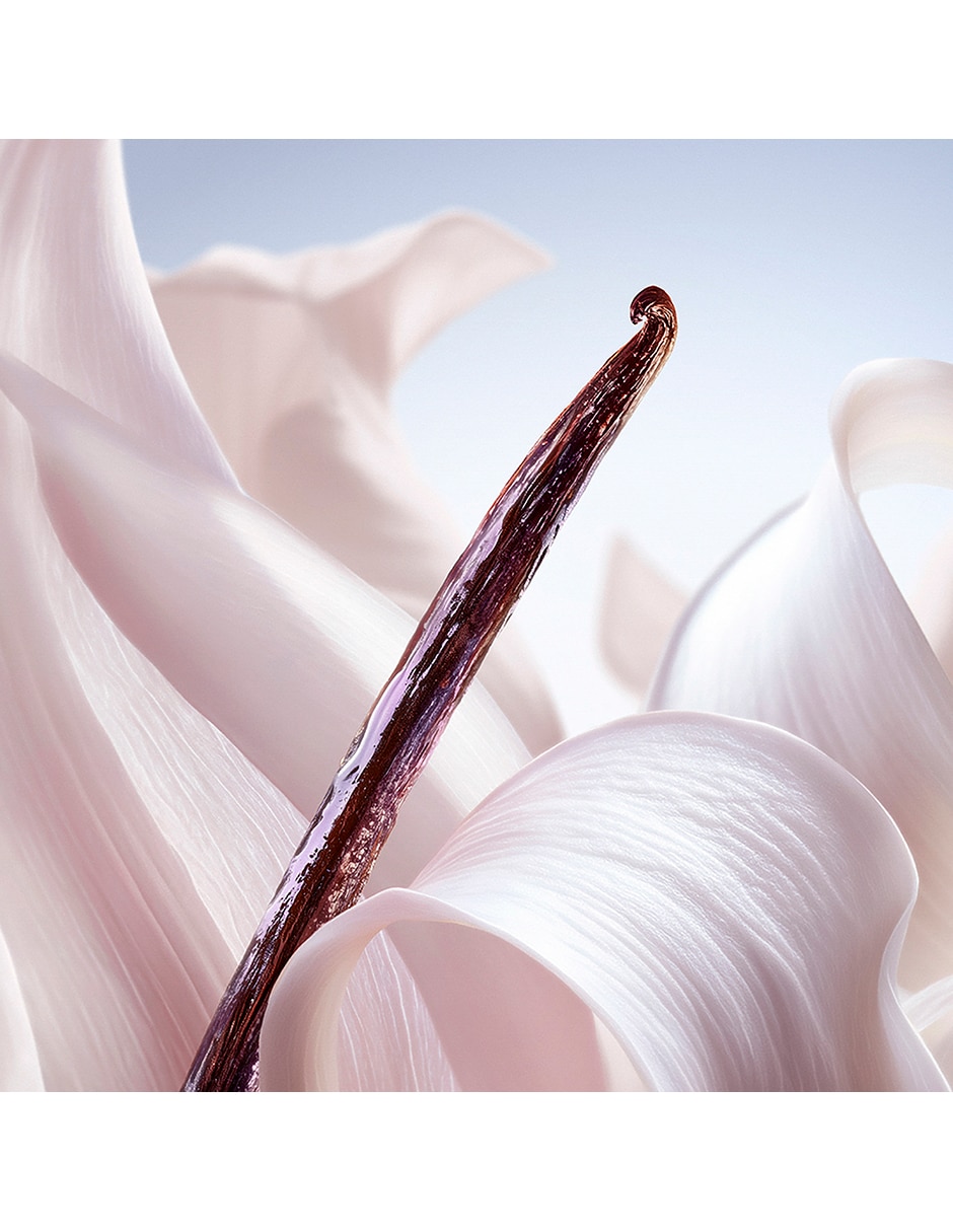 Body mist Lancôme La vie est belle vanille nude para mujer