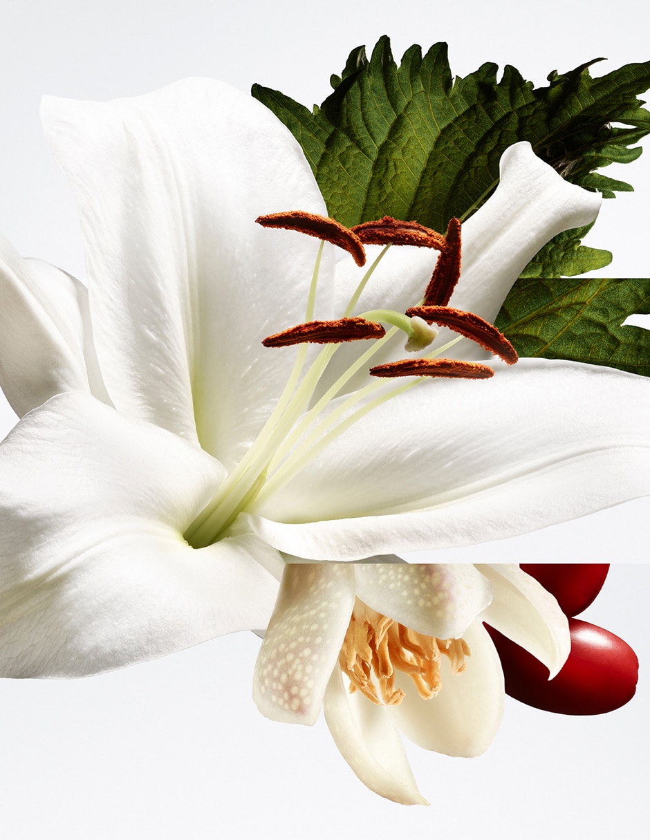 Refill de Eau de parfum Barenia Pleine Fleur 2026 3