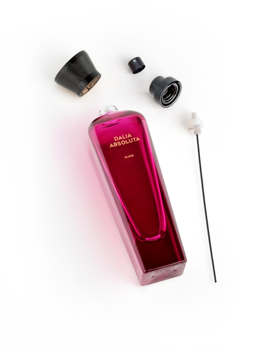 Kit Eau de toilette Dalia para mujer 6