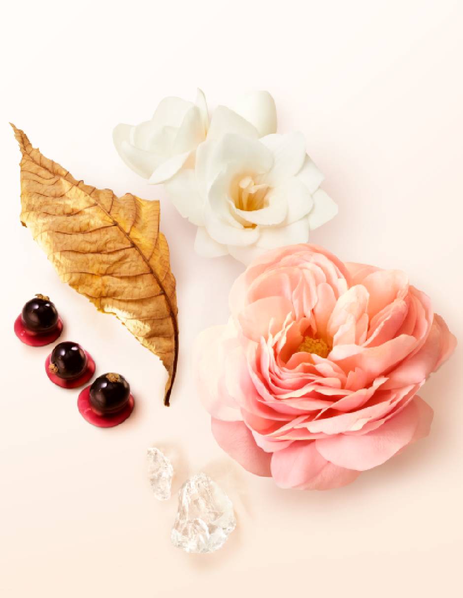 Kit eau de parfum para mujer 6