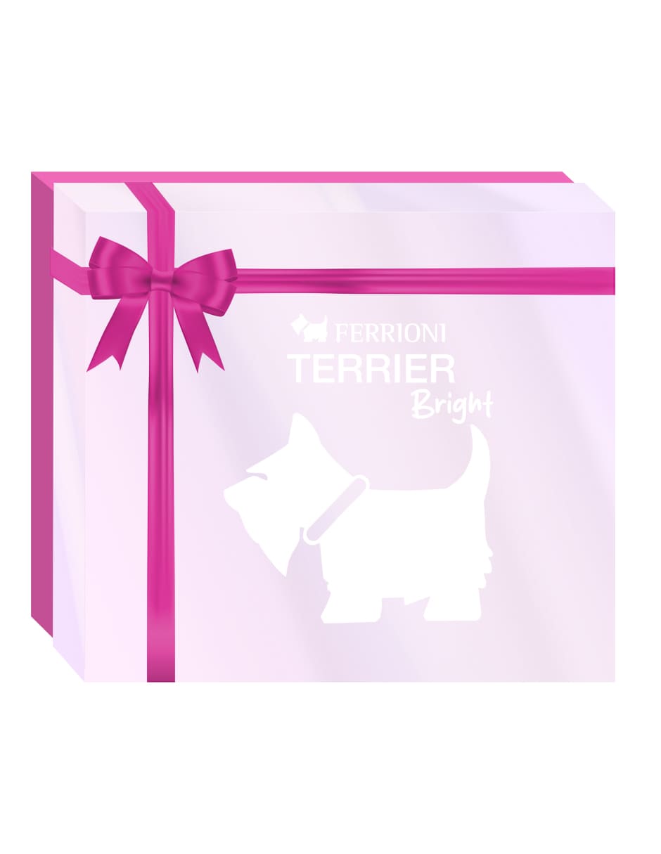 Set Eau de parfum Terrier Brigth para mujer 2