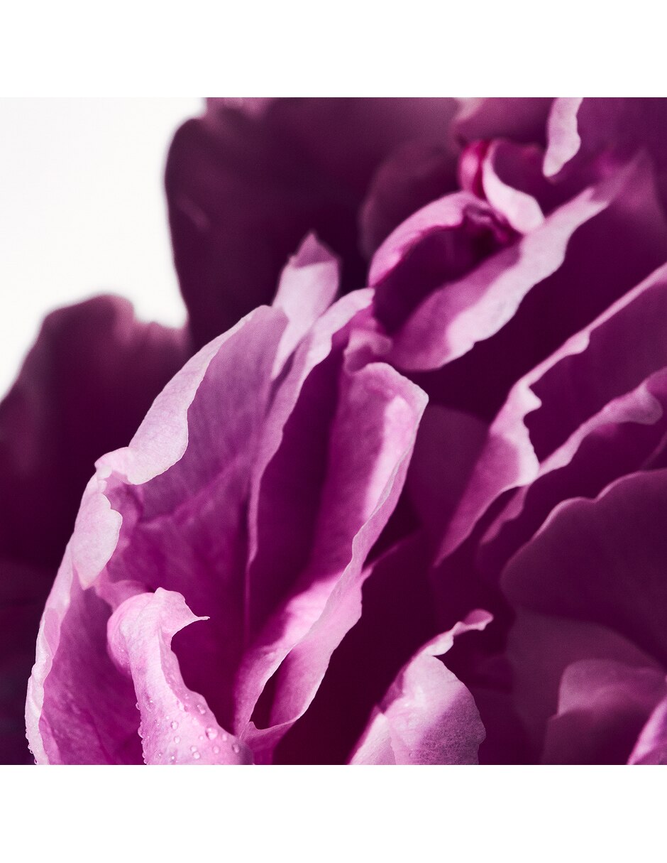 Eau de parfum para mujer 4