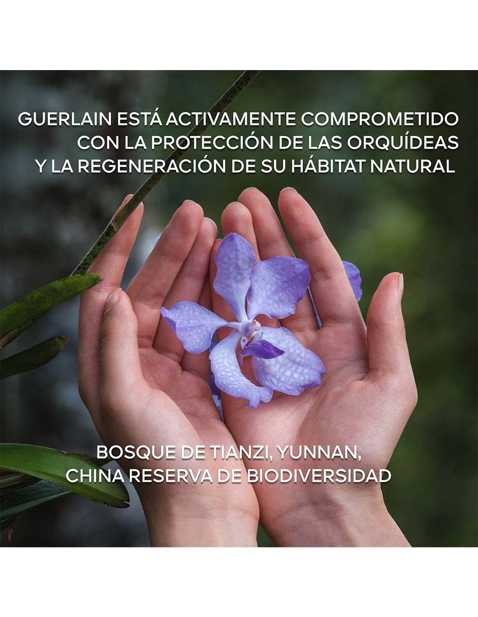 Set de (si aplica) Crema para Facial recomendada para Hidratar de Día y noche GUERLAIN ORCHIDÉE IMPÉRIALE para piel Todo tipo piel