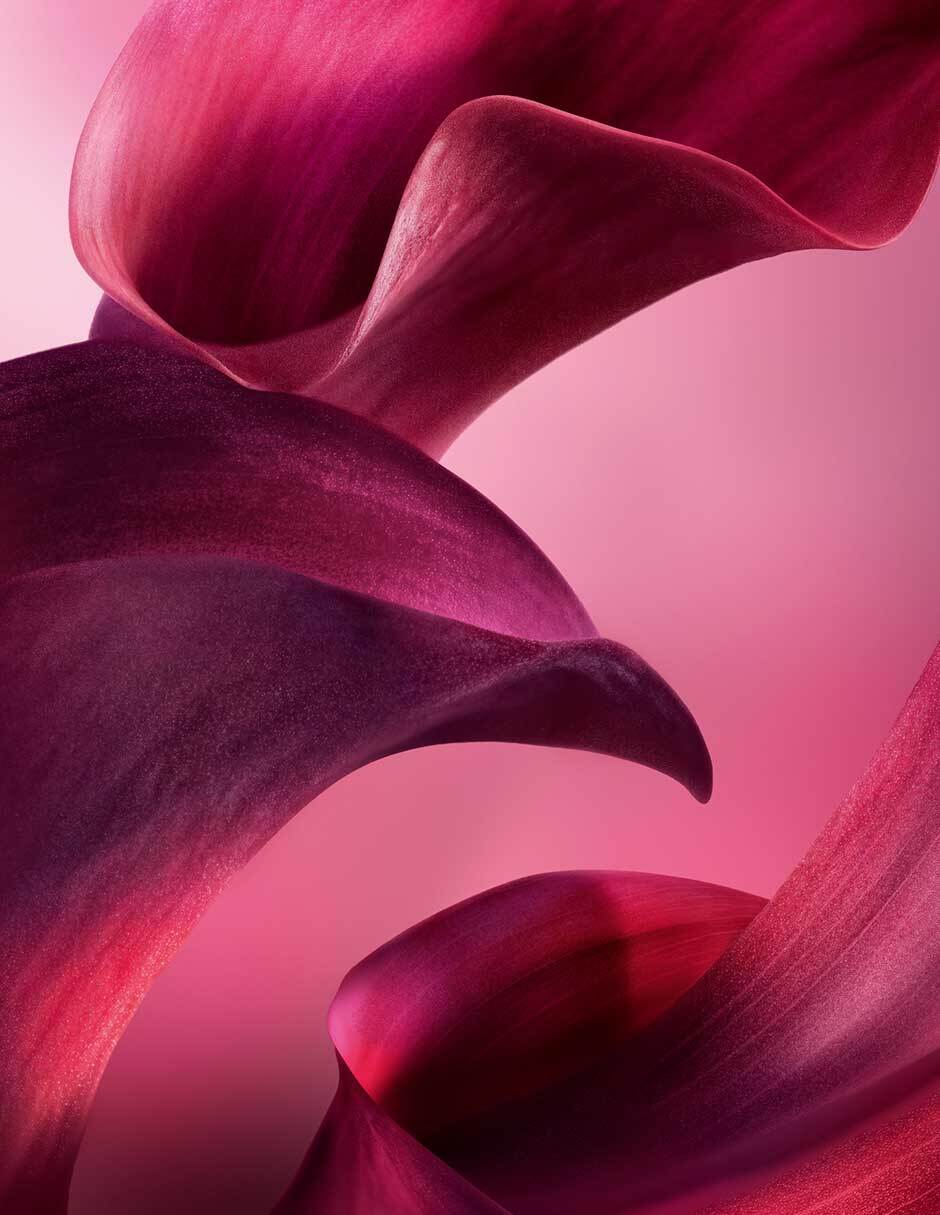 Eau de parfum Lancôme La Vie Est Belle L'Elixir Very Cherry para mujer