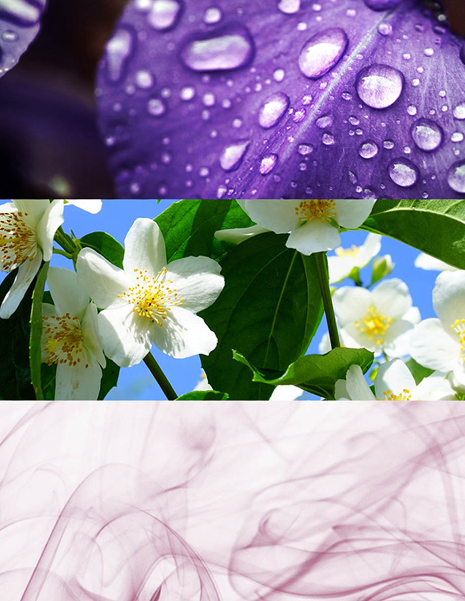 Eau de toilette Daisy para mujer 5